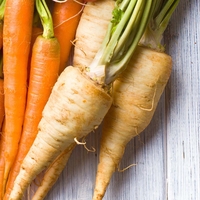 Parsnip 