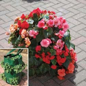 Patio Bag - 1 Patio Bag