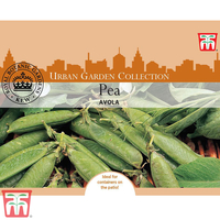 Pea 