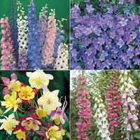 Perennial Collection