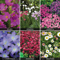 Perennials 