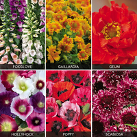 Perennials 