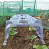 Plastic Tunnel Cloche - 2 cloches and 2 ends