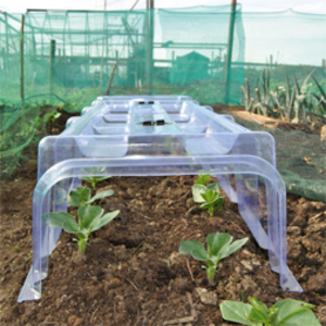 Plastic Tunnel Cloche - 2 cloches and 2 ends