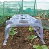 Plastic Tunnel Cloche