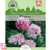 Poppy 