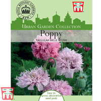 Poppy 
