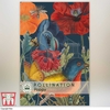 Poppy (Wild) - Kew Pollination Collection