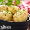 Potato 