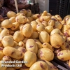 Potato 