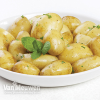 Potato 