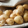 Potato 