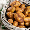 Potato 
