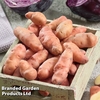 Potato 
