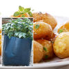 Potato 
