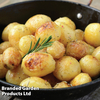 Potato 