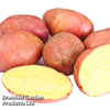 Potato 