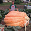 Pumpkin 