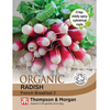 Radish 