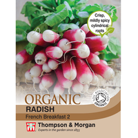 Radish 