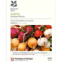Radish 