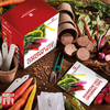 Rainbow Vegetable Growing Kit - Gift