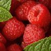 Raspberry Polka - 6 bareroot plants