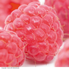 Raspberry 