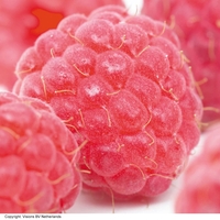 Raspberry 