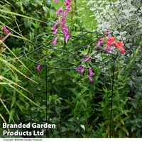 Round Grow Through Grid Support
