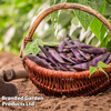 Runner Bean 