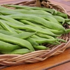 Runner Bean 