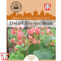 Runner Bean 