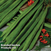 Runner Bean 