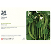 Runner Bean 
