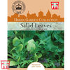 Salad Leaves 