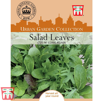 Salad Leaves 