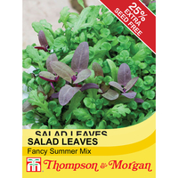 Salad Leaves 