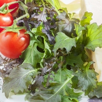 Salad Leaves 