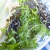 Salad Leaves 