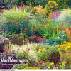 Seasonal Border Perennial Plants 
