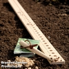 Seed And Plant Spacing Rule