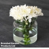 Sierglass Vase