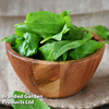 Sorrel 