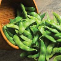 Soya Bean Edamame - 10 plants in 5cm pots