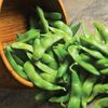 Soya Bean Edamame - 5 plants in 5cm pots