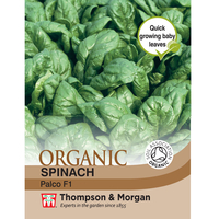 Spinach 