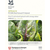Spinach PV1390 