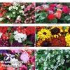 Summer Bedding Collection