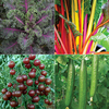 Super Smoothie Collection